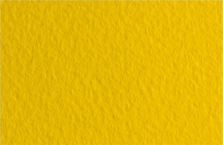 Бумага для пастели Tiziano 160г/м.кв 70x100см золотой — PalitraMastera