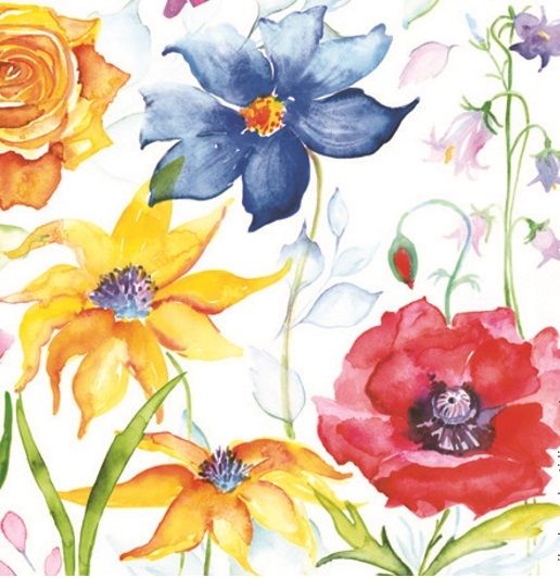 Салфетки - трехслойные, коллекция "Ланч каждый день", Maki фото 1 &mdash; PalitraMastera