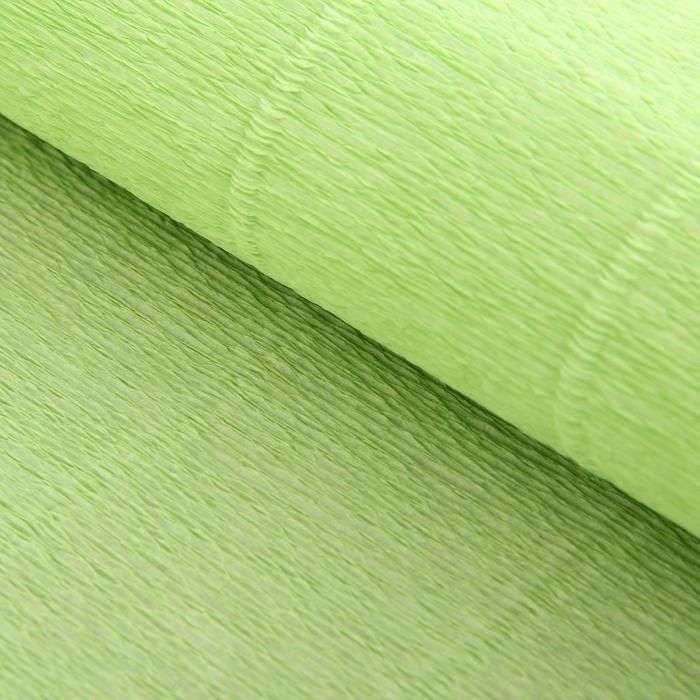 Бумага гофрированная 566 светло-салатовая, 50 см х 2,5 м 1176445 фото 1 &mdash; PalitraMastera