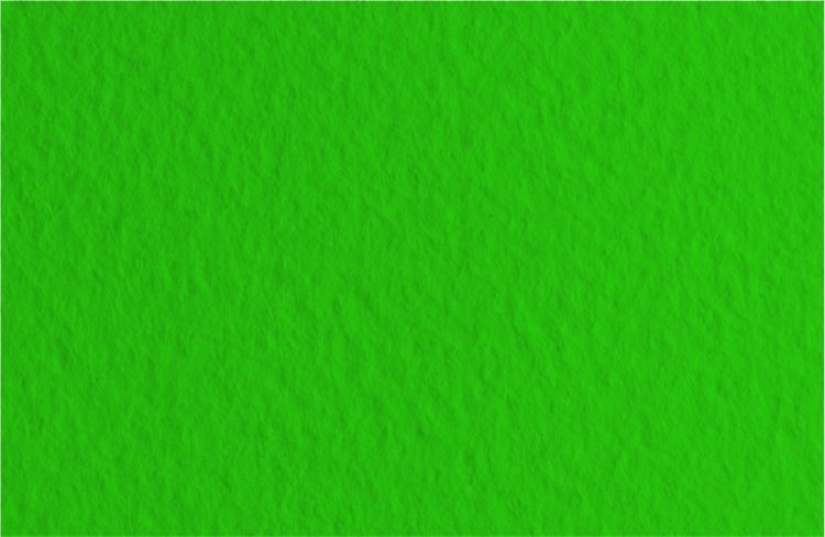 Бумага для пастели Tiziano 160г/м.кв 70x100см зеленый темный — PalitraMastera