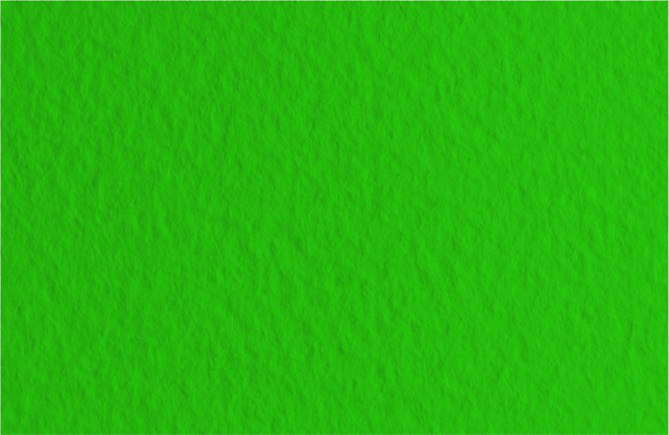 Бумага для пастели Tiziano 160г/м.кв 70x100см зеленый темный фото 1 — PalitraMastera