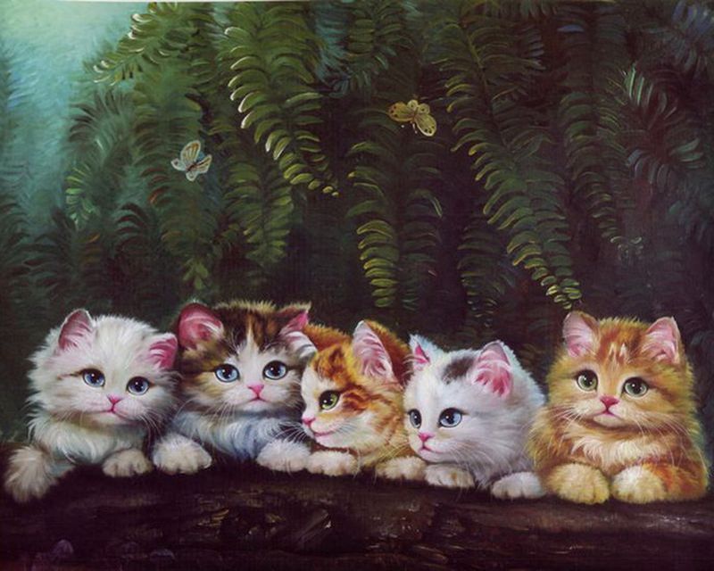 Алмазная мозаика (круглая) 40x50 ZM-0239 (ZM-0239) фото 1 — PalitraMastera