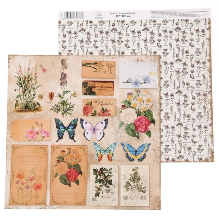 Бумага для скрапбукинга La Botanique "Плашки" 30.5 х 30.5 см 180 г/м  1482771 фото 1 &mdash; PalitraMastera