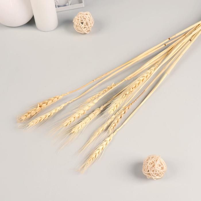 Декор сухоцвет &quot;Рожь&quot; (набор 10 шт) 60 см, бежевый 7081242 — PalitraMastera