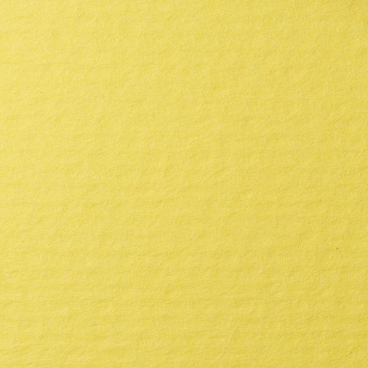 LANA Бумага для пастели, 160г, светло-желтый, 21х29,7 ( хлопок 45%) — PalitraMastera