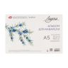 Альбом-склейка для акварели "Ладога", 300 г/м2, А5, 100% хлопок, 12 листов, среднее зерно фото 1 &mdash; PalitraMastera
