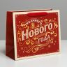 Пакет ламинированный горизонтальный «Удачного Нового года», ML 27 * 23 * 11,5 см фото 1 — PalitraMastera