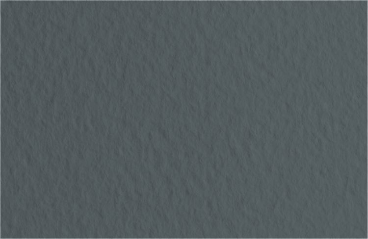 Бумага для пастели 70х100 Tiziano 160 г /антрацит — PalitraMastera