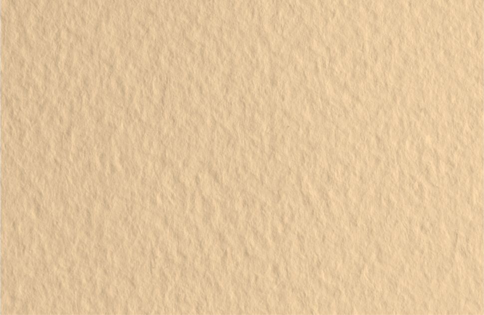 Бумага для пастели 70х100 Tiziano 160 г /банановый фото 1 — PalitraMastera