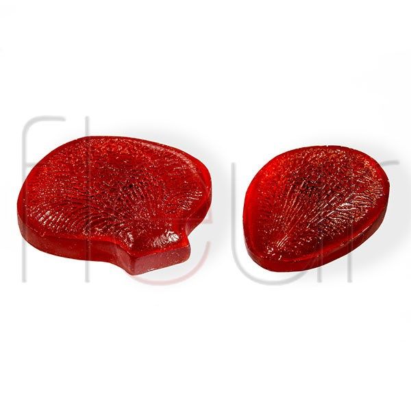 04-0010 Фактура цветка орхидеи phalaenopsis(2 части) фото 1 — PalitraMastera