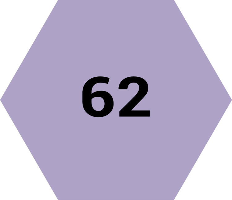 Ручка д/леттеринга и каллиграфии с након. кисть LePen Flex WISTERIA MAR4800/62 /Marvy — PalitraMastera