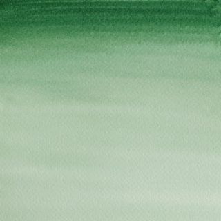 Акварель Cotman, 8 мл, темно-зеленый Хукер — PalitraMastera