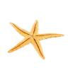 Набор из 3 морских звезд, размер каждой 6-10 см 1302300---- фото 3 — PalitraMastera
