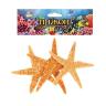 Набор из 3 морских звезд, размер каждой 6-10 см 1302300---- фото 4 — PalitraMastera