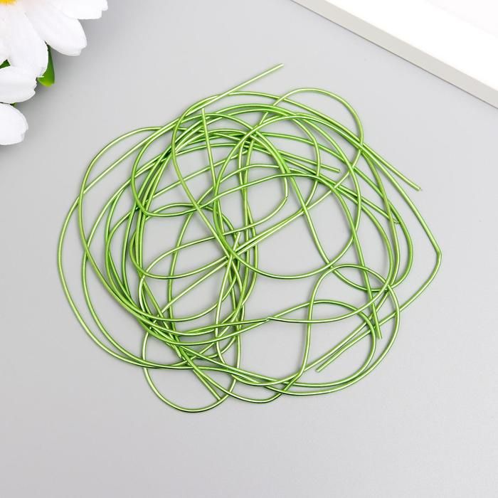 Канитель мягкая, гладкая 0,7 мм, глянец, яркий лайм 5 гр 5152686 фото 1 — PalitraMastera