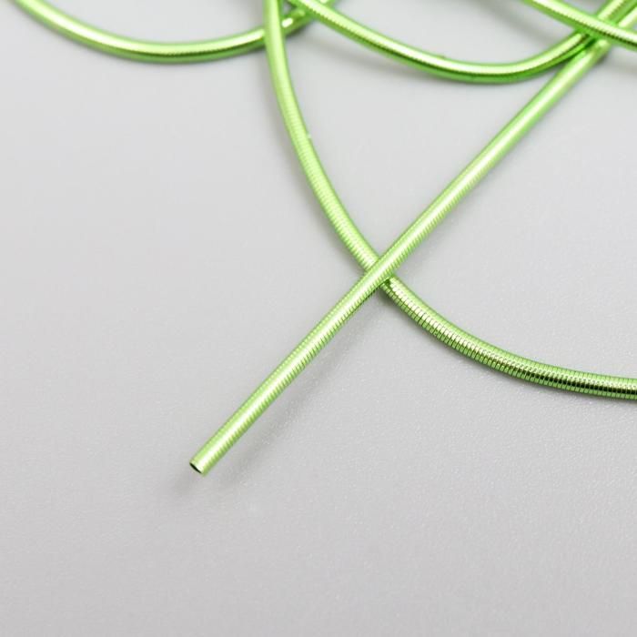 Канитель мягкая, гладкая 0,7 мм, глянец, яркий лайм 5 гр 5152686 — PalitraMastera