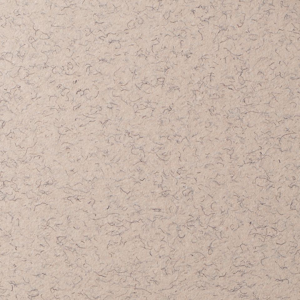 LANA Бумага для пастели, 160г, лунный камень, 21х29,7 ( хлопок 45%) фото 1 &mdash; PalitraMastera