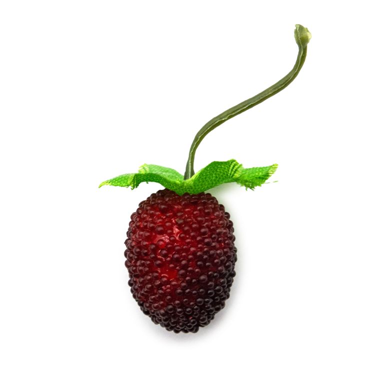 2AR155 Ежевика декоративная 5,5см — PalitraMastera