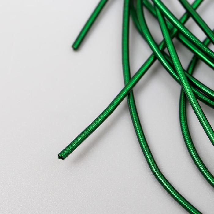 Канитель мягкая, гладкая 0,7 мм, глянец, темная трава 5 гр 5152688 — PalitraMastera