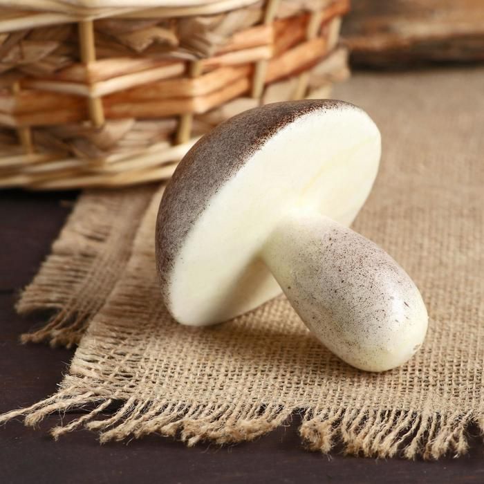 Муляж гриб белый 8х8 см  5213304 — PalitraMastera