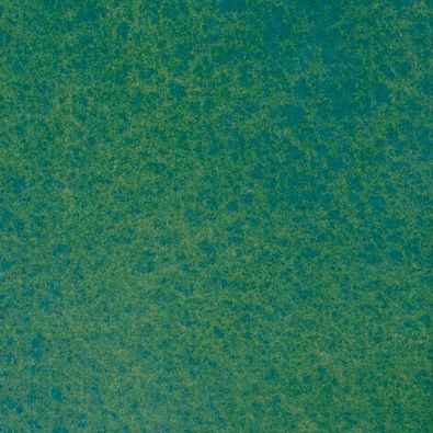 Зеленая дымка акварель Белые Ночи кювета 2,5 мл — PalitraMastera