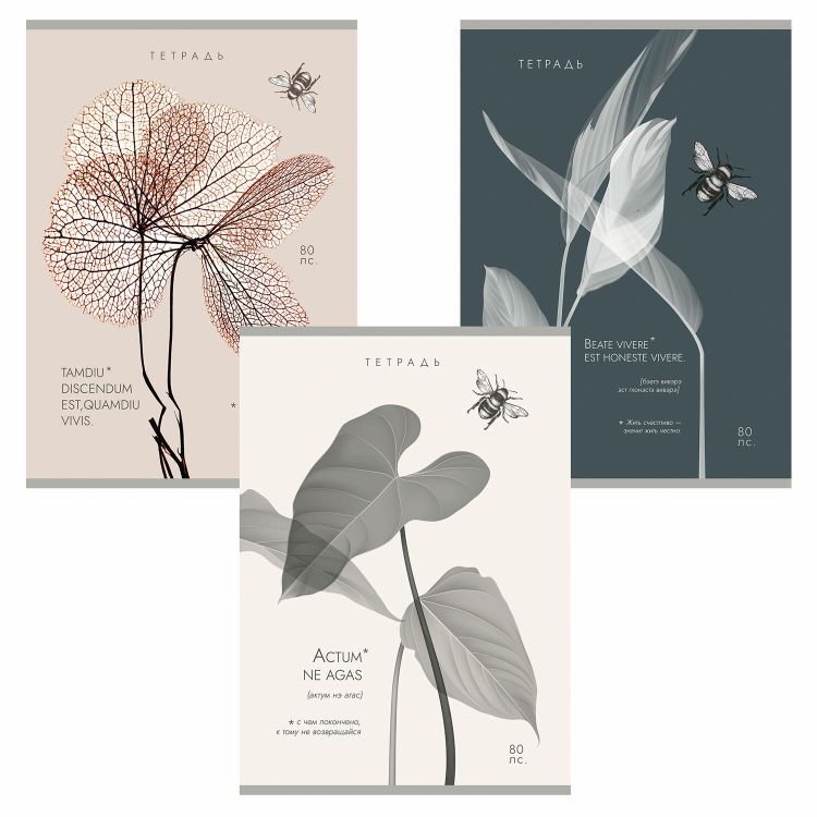 Тетрадь А4 80л. ПЗБМ скоба, клетка, Soft Touch, брайль, Латынь (микс в спайке), 23430 — PalitraMastera