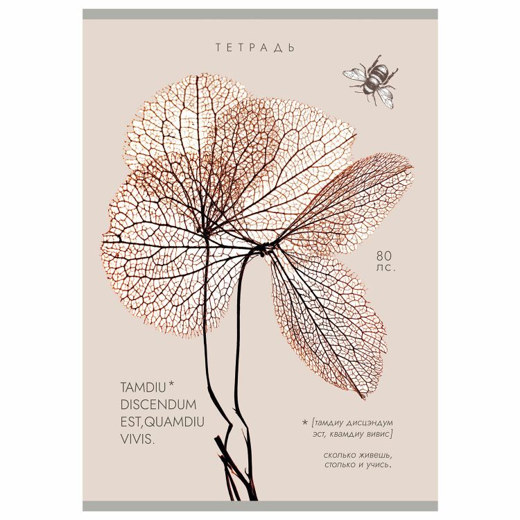 Тетрадь А4 80л. ПЗБМ скоба, клетка, Soft Touch, брайль, Латынь (микс в спайке), 23430 — PalitraMastera