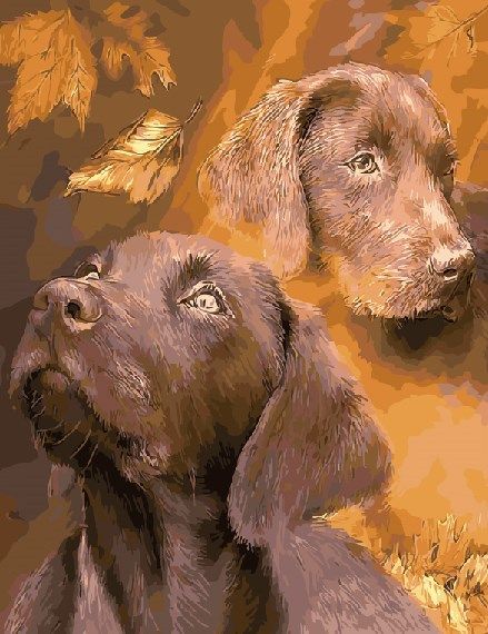 Картина по номерам GX 5276 Шоколадные лабрадоры 40*50 фото 1 &mdash; PalitraMastera