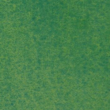 Желто-зеленая дымка акварель Белые Ночи кювета 2,5 мл — PalitraMastera