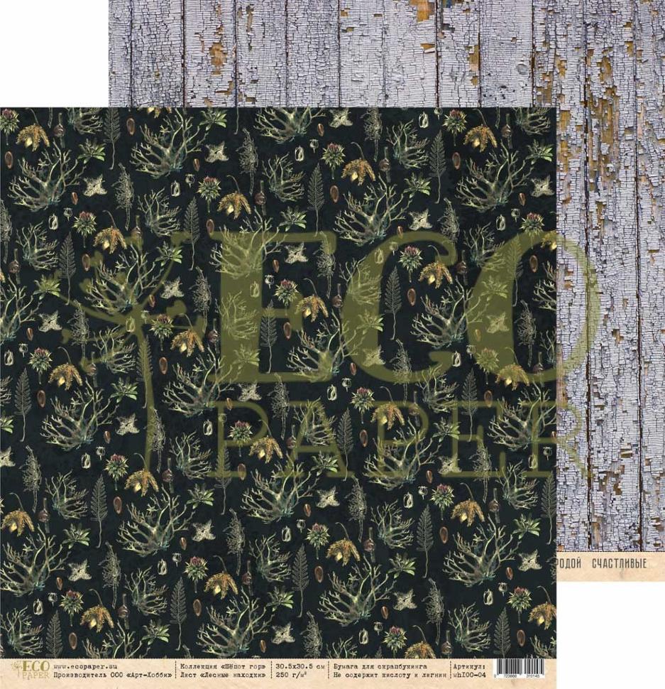 Лесные находки "Шёпот гор" фото 1 &mdash; PalitraMastera