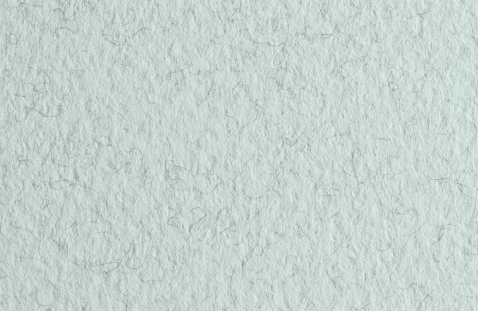 Бумага для пастели 50х65 Tiziano 160 г /32 белый с ворсом (Brina) фото 1 &mdash; PalitraMastera
