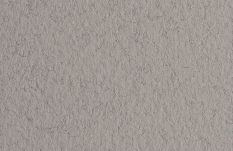 Бумага для пастели 70х100 Tiziano 160 г /серый теплый — PalitraMastera