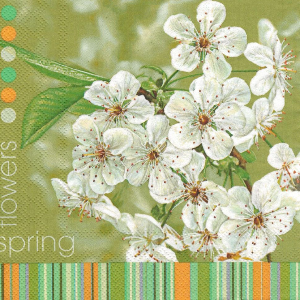 Салфетки - трехслойные, Daisy, коллекция "Весенние узоры" фото 1 &mdash; PalitraMastera