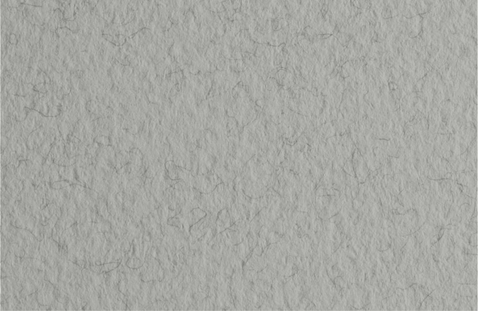 Бумага для пастели 70х100 Tiziano 160 г /серый холодн. с ворсом фото 1 &mdash; PalitraMastera