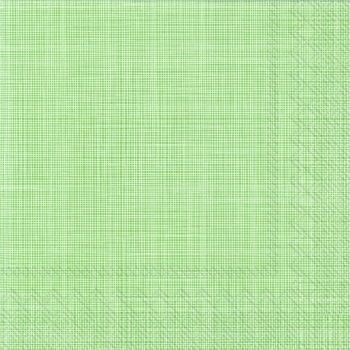 Салфетки бумажные для декупажа, 33х33 см, "Чистый холст, молочный зеленый", упаковка 20 шт. фото 1 — PalitraMastera