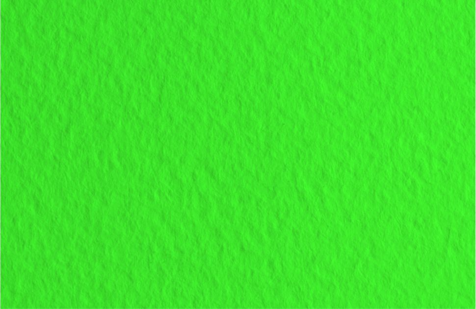 Бумага для пастели 50х65 Tiziano 160 г /12 зеленый (Prato) фото 1 &mdash; PalitraMastera