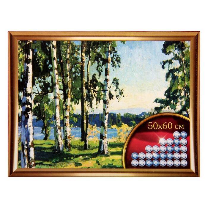 Алмазная вышивка с частичным заполнением &quot;Березы&quot; 50*60 см, холст, емкость  2366409---- — PalitraMastera