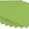 FOLIA Бумага цветная, 300 г/м2, 50х70 см, светло-зеленый фото 1 &mdash; PalitraMastera