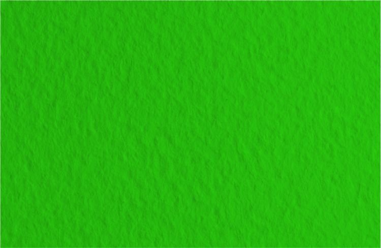 Бумага для пастели 50х65 Tiziano 160 г /37 зеленый темный (Biliardo) — PalitraMastera