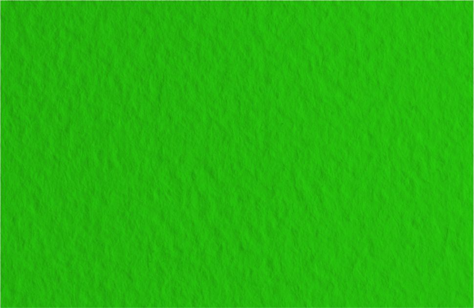 Бумага для пастели 50х65 Tiziano 160 г /37 зеленый темный (Biliardo) фото 1 &mdash; PalitraMastera