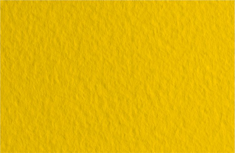 Бумага для пастели 50х65 Tiziano 160 г /44 золотой (Oro) — PalitraMastera