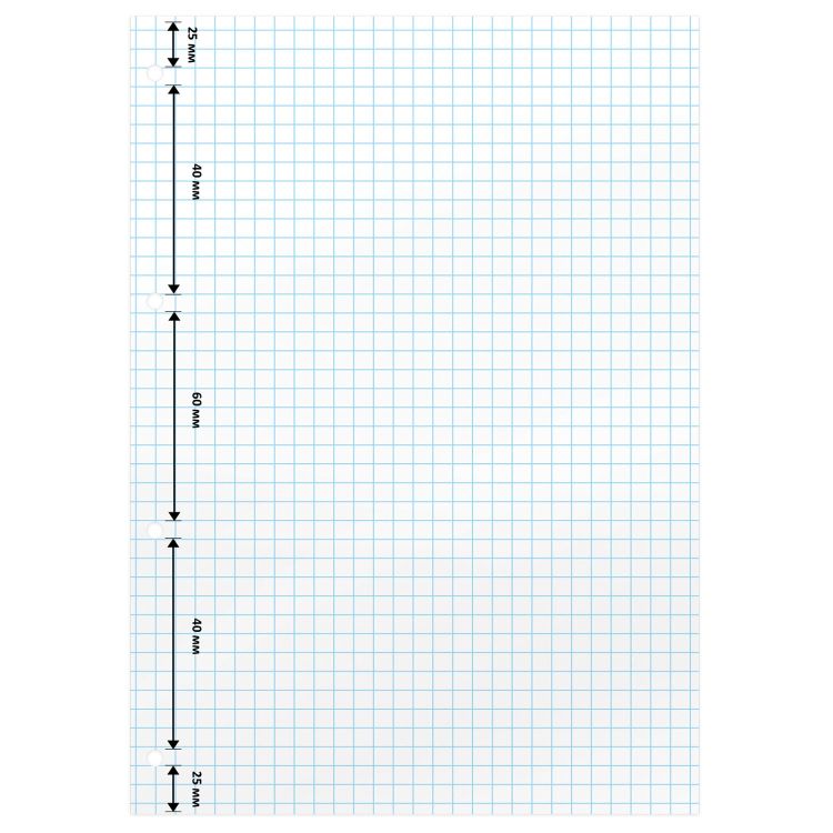 Сменный блок для тетради на кольцах А5 160л. BRAUBERG, Белый, 404613 — PalitraMastera