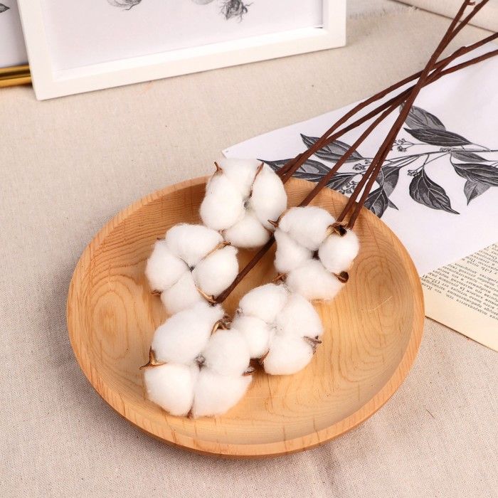 Декор сухоцвет &quot;Хлопок&quot; d-5 см, 30 см, белый 2334965 — PalitraMastera