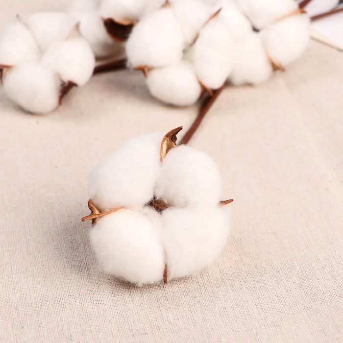 Декор сухоцвет &quot;Хлопок&quot; d-5 см, 30 см, белый 2334965 — PalitraMastera