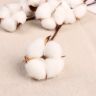 Декор сухоцвет "Хлопок" d-5 см, 30 см, белый 2334965 фото 2 — PalitraMastera