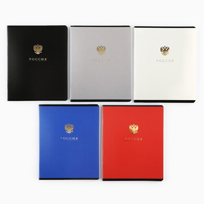 Тетрадь А5, 48 л на скрепке 5 шт., внутренний блок №1 МИКС &quot;Патриотизм&quot; мат лам, тиснение 10136822 — PalitraMastera