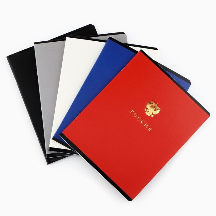 Тетрадь А5, 48 л на скрепке 5 шт., внутренний блок №1 МИКС &quot;Патриотизм&quot; мат лам, тиснение 10136822 — PalitraMastera