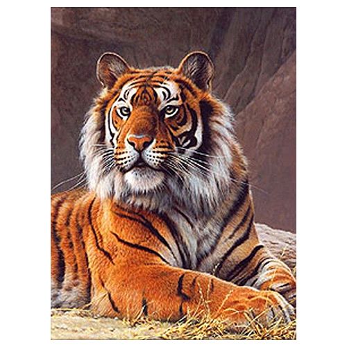 АЖ-1384 Картина стразами "Охотник на страже" 30*40см (без подрамника) фото 1 &mdash; PalitraMastera