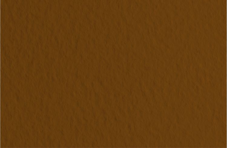 Бумага для пастели 50х65 Tiziano 160 г /09 кофейный (Caffe) — PalitraMastera