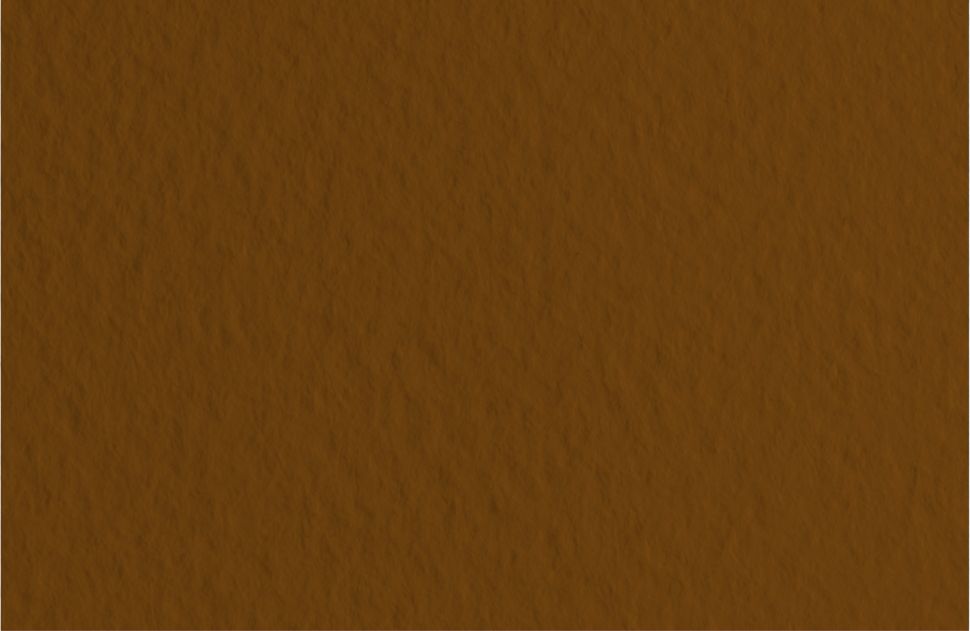 Бумага для пастели 50х65 Tiziano 160 г /09 кофейный (Caffe) фото 1 &mdash; PalitraMastera